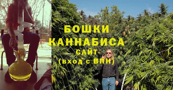 COCAINE Богородицк
