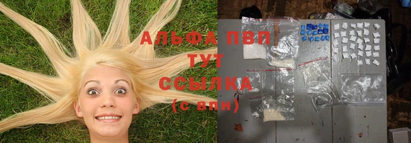 каннабис Богданович